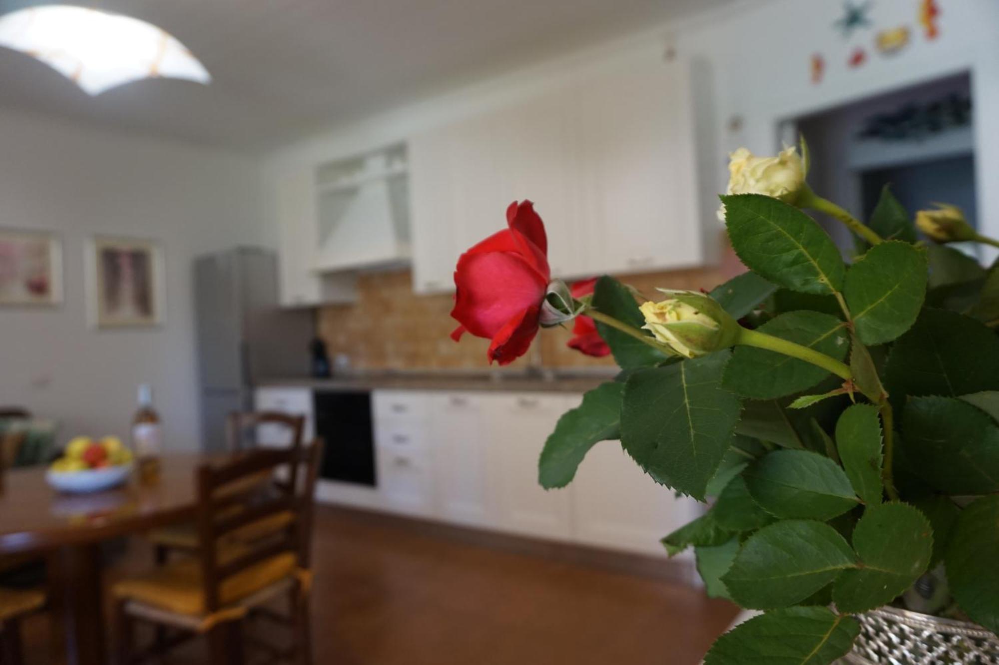 Lejlighed Rosanna House In Bombarde Alghero