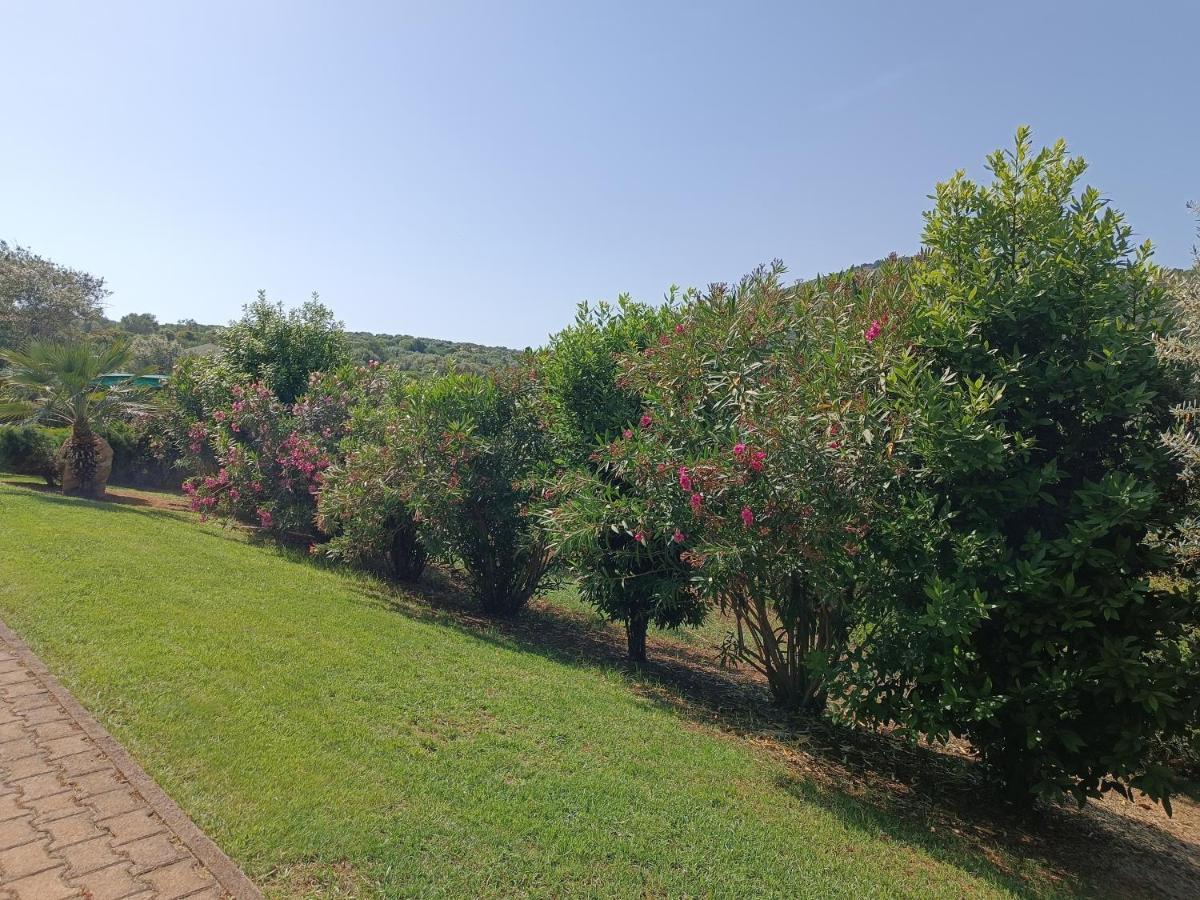 Rosanna House In Bombarde Appartement Alghero