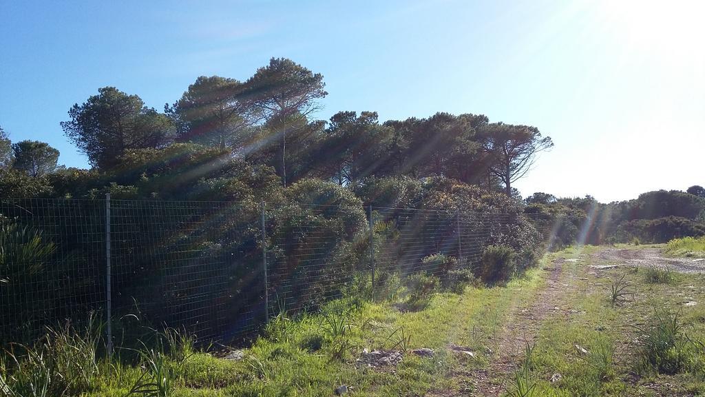 Rosanna House In Bombarde * Alghero